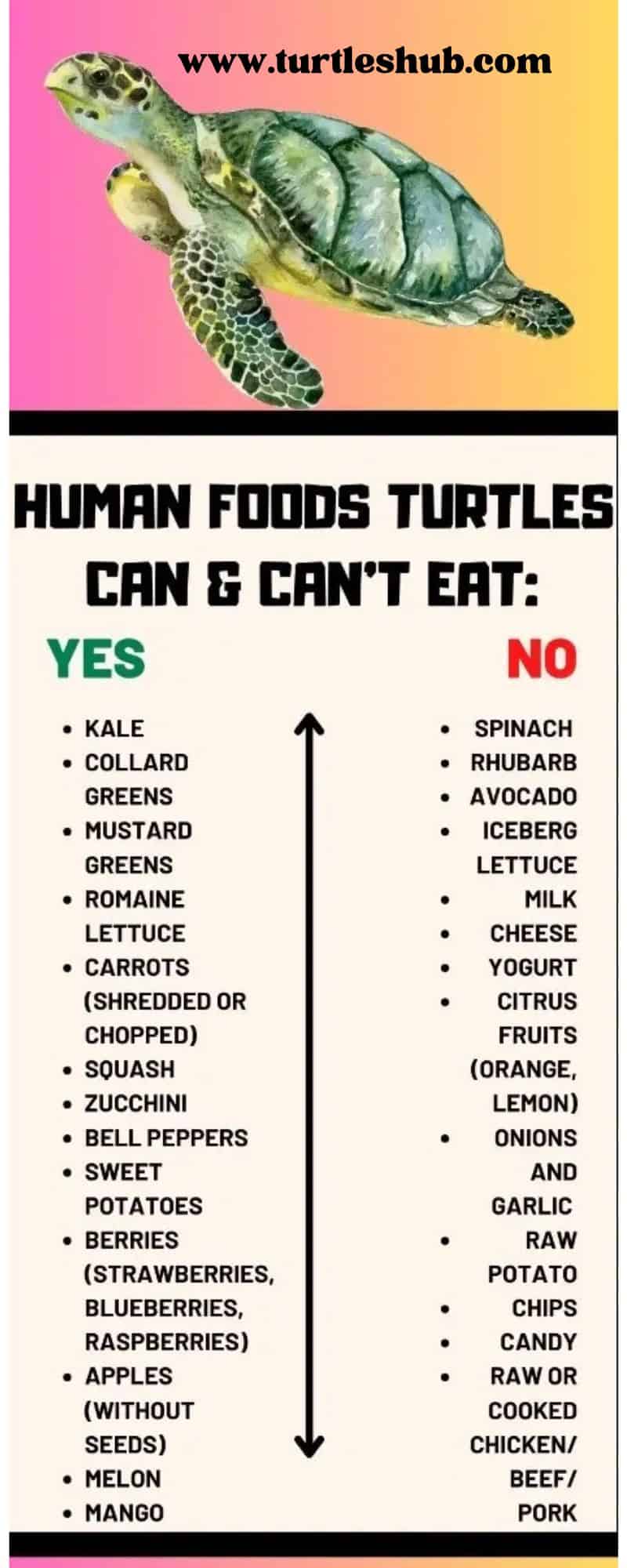 infographics turtles