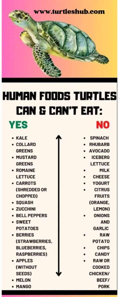 infographics turtles